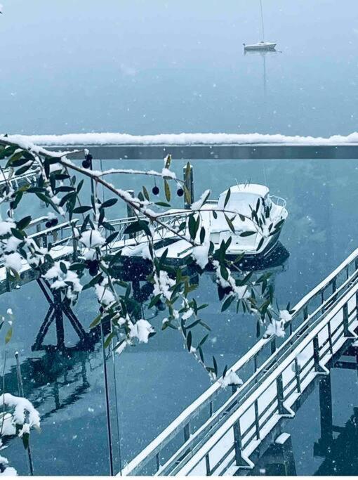 北温哥华Oceanfront Zen别墅 外观 照片